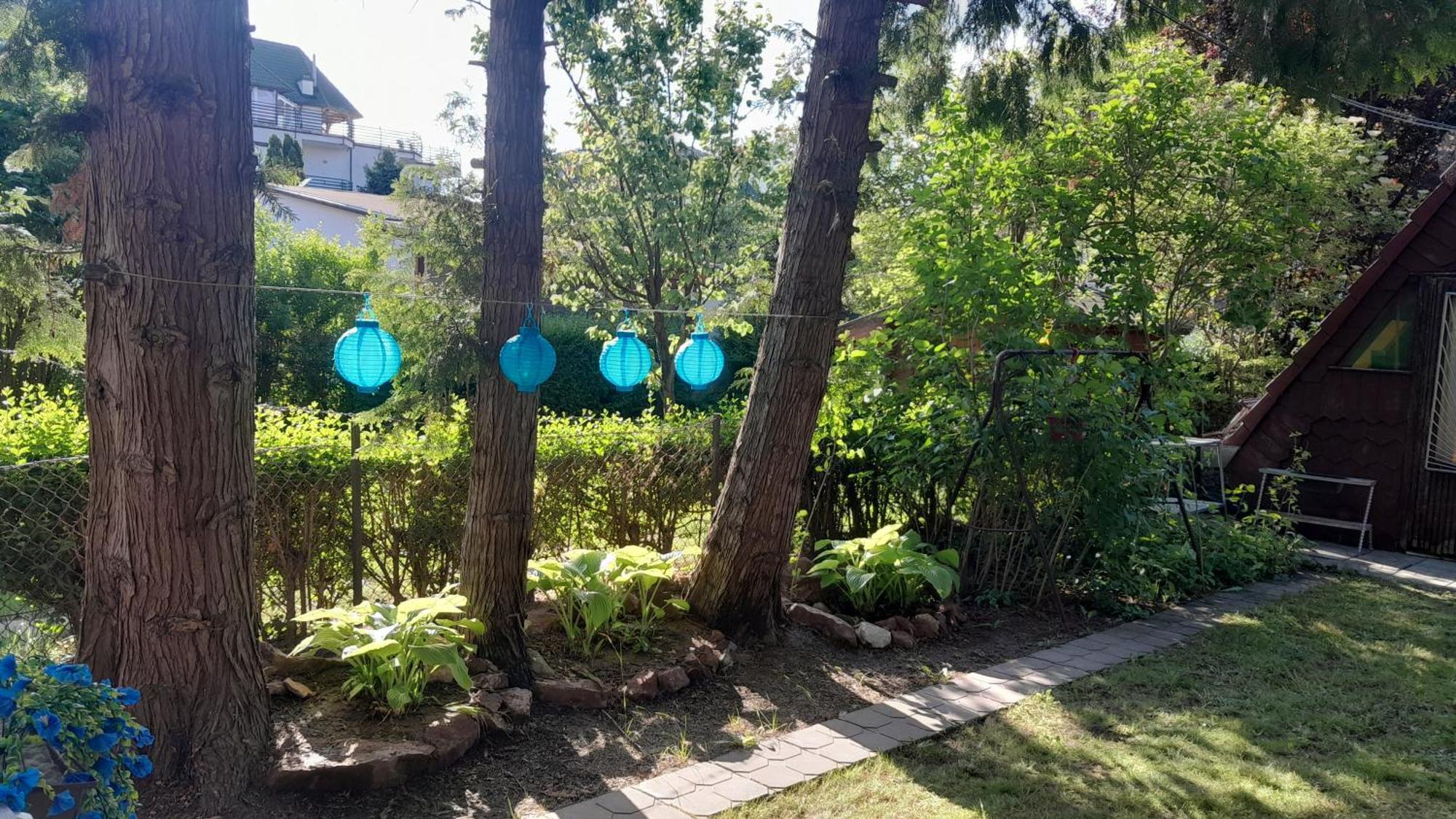 Picur Lak Villa Siofok Bagian luar foto